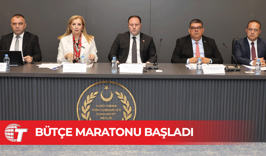 Meclis’teki bütçe görüşmeleri komitede başladı