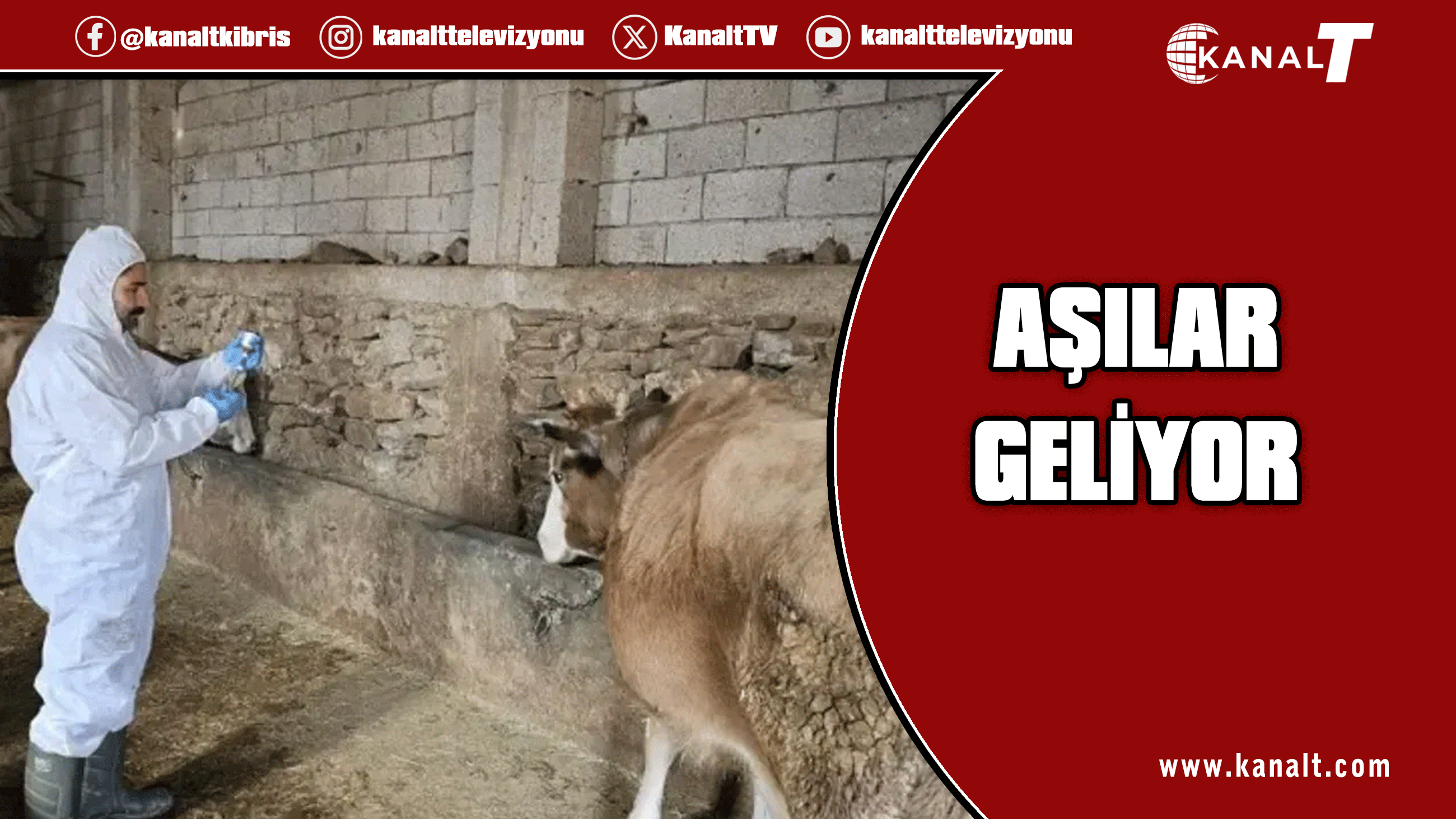 Aşılar bu akşam geliyor. Aşılamalar yarın başlayacak