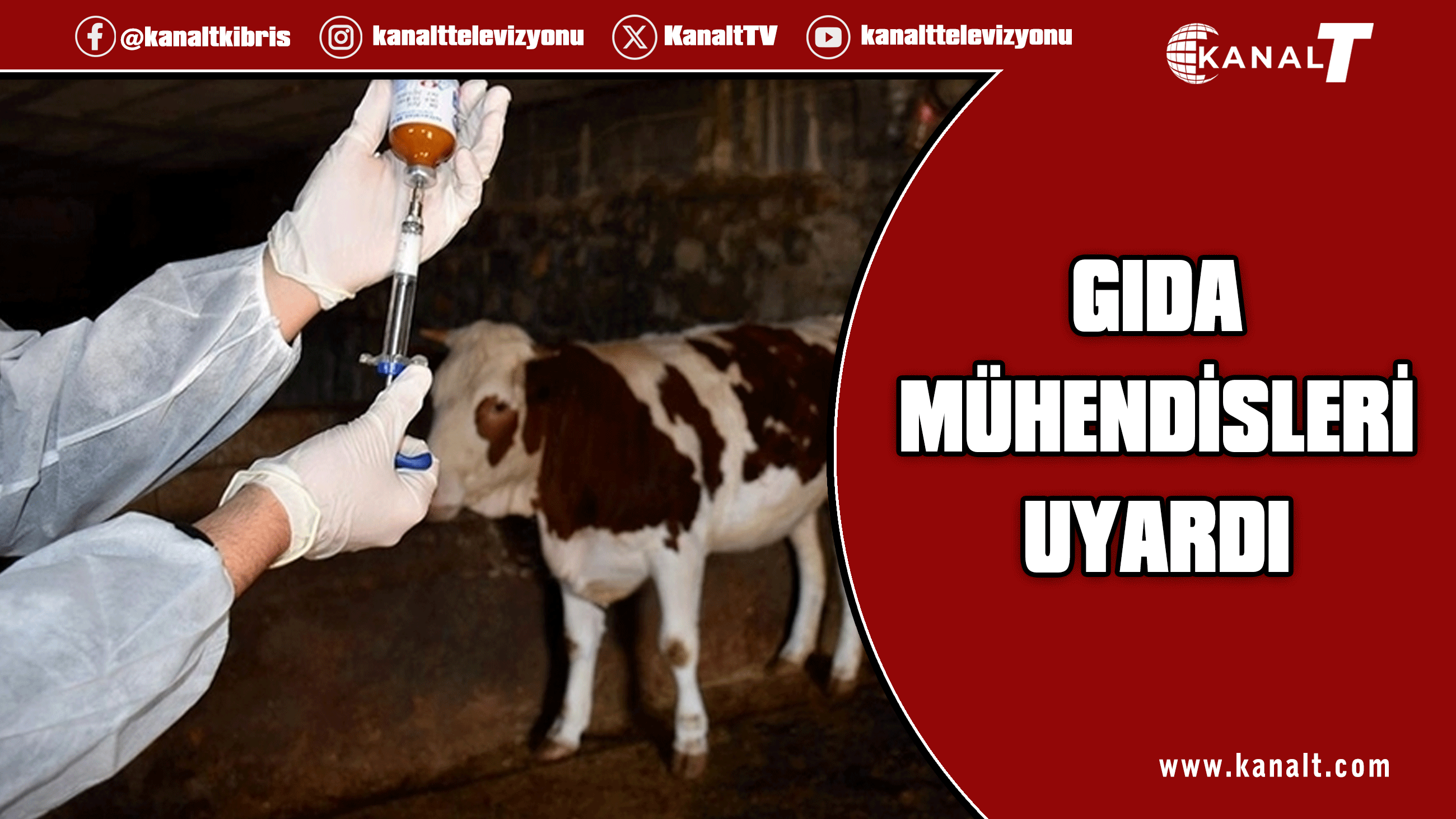 Gıda Mühendisleri Odası’ndan şap hastalığı uyarısı