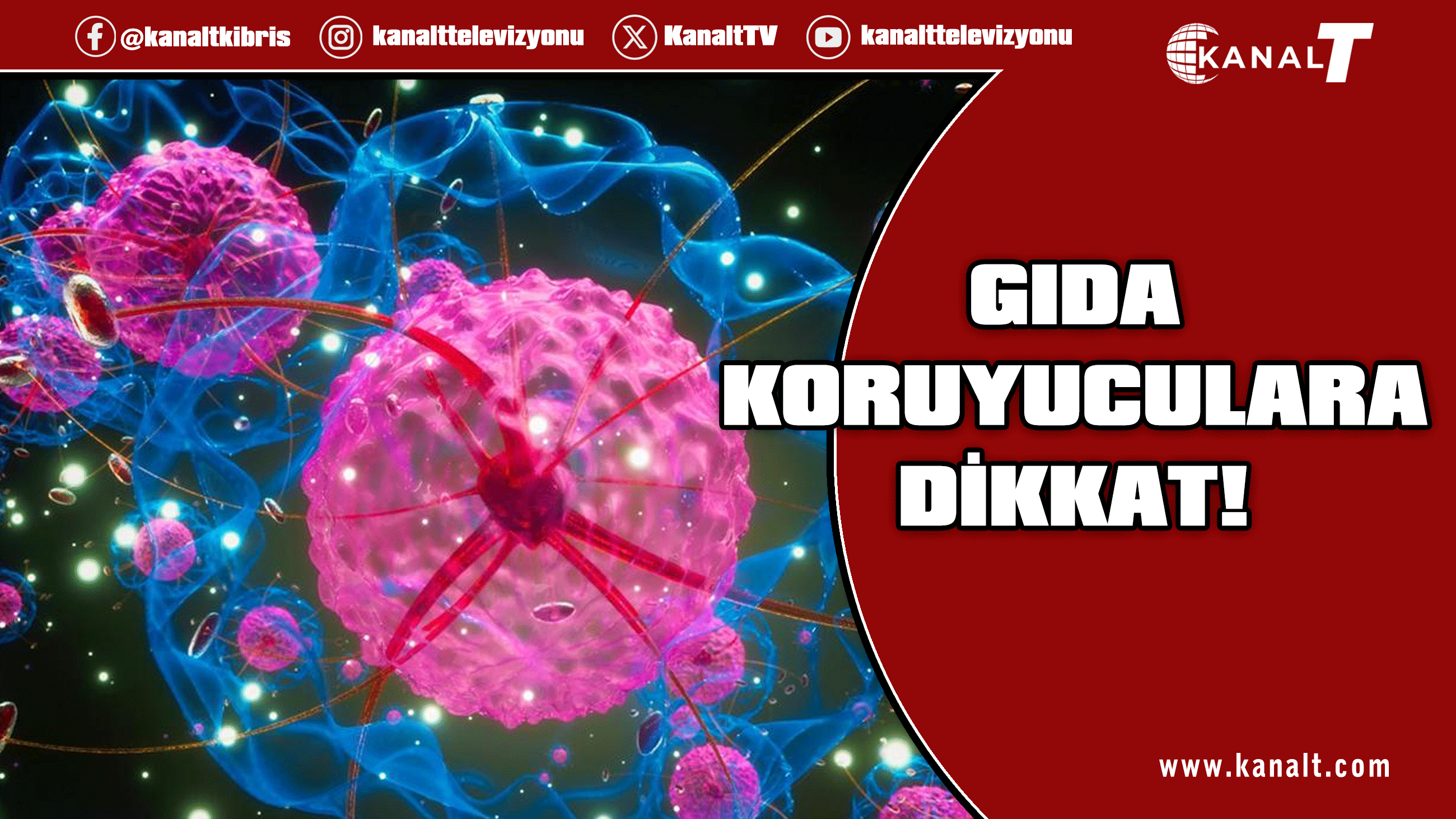 Yaygın gıda koruyucuları kanser ve diyabetle ilişkilendirildi
