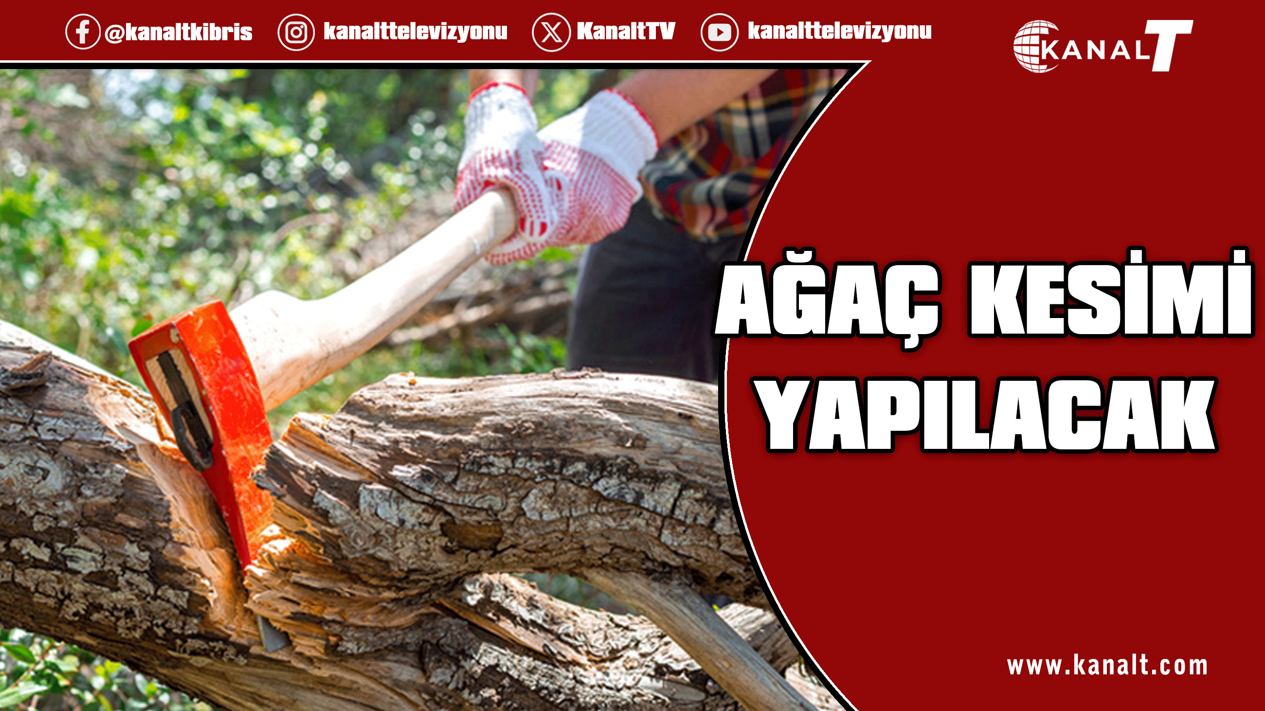 Dereboyu’nda, Orman Dairesi Fidanlığı önünde yarın ağaç kesimi yapılacak