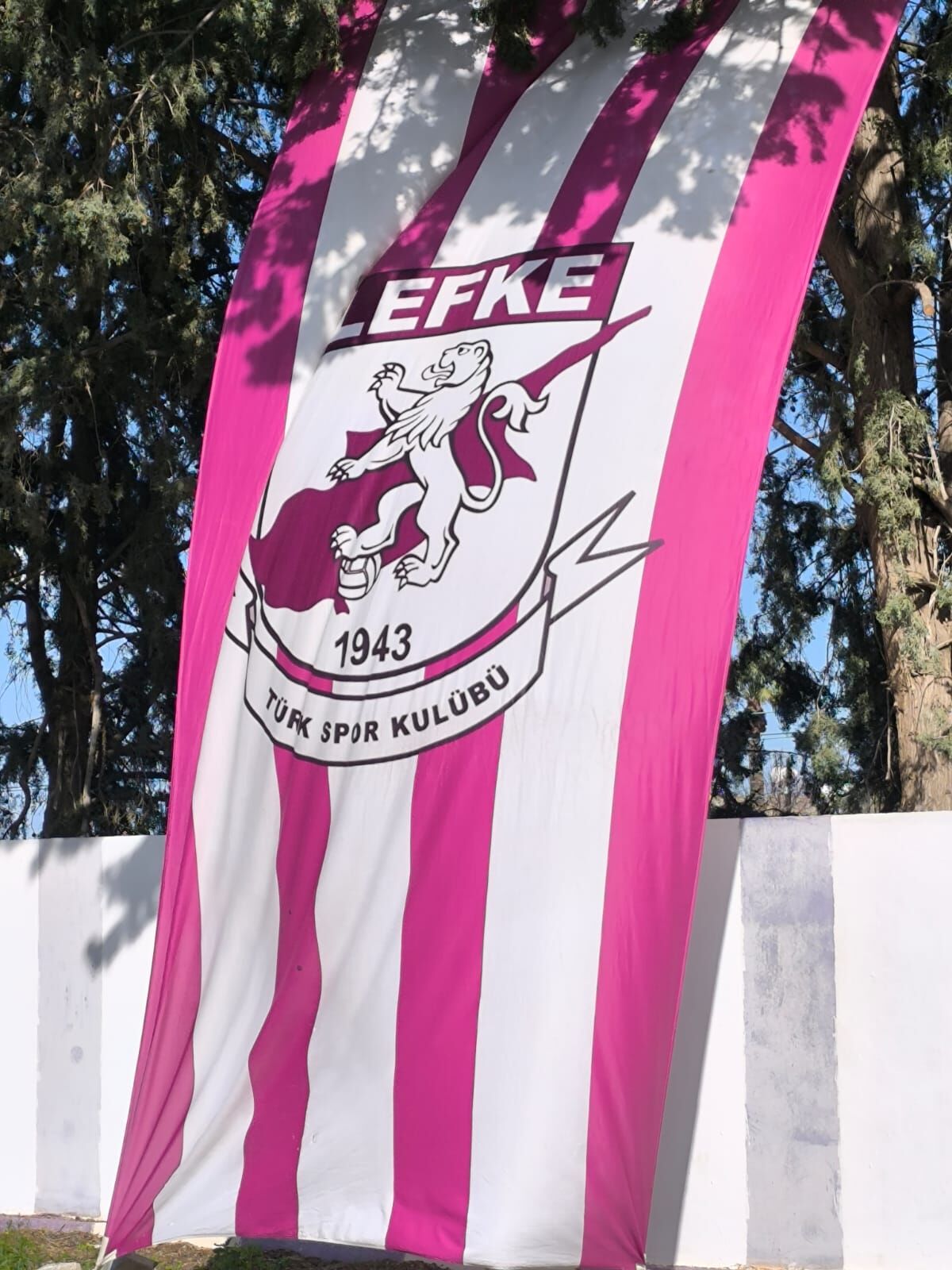 I M G 20260228 W A0036