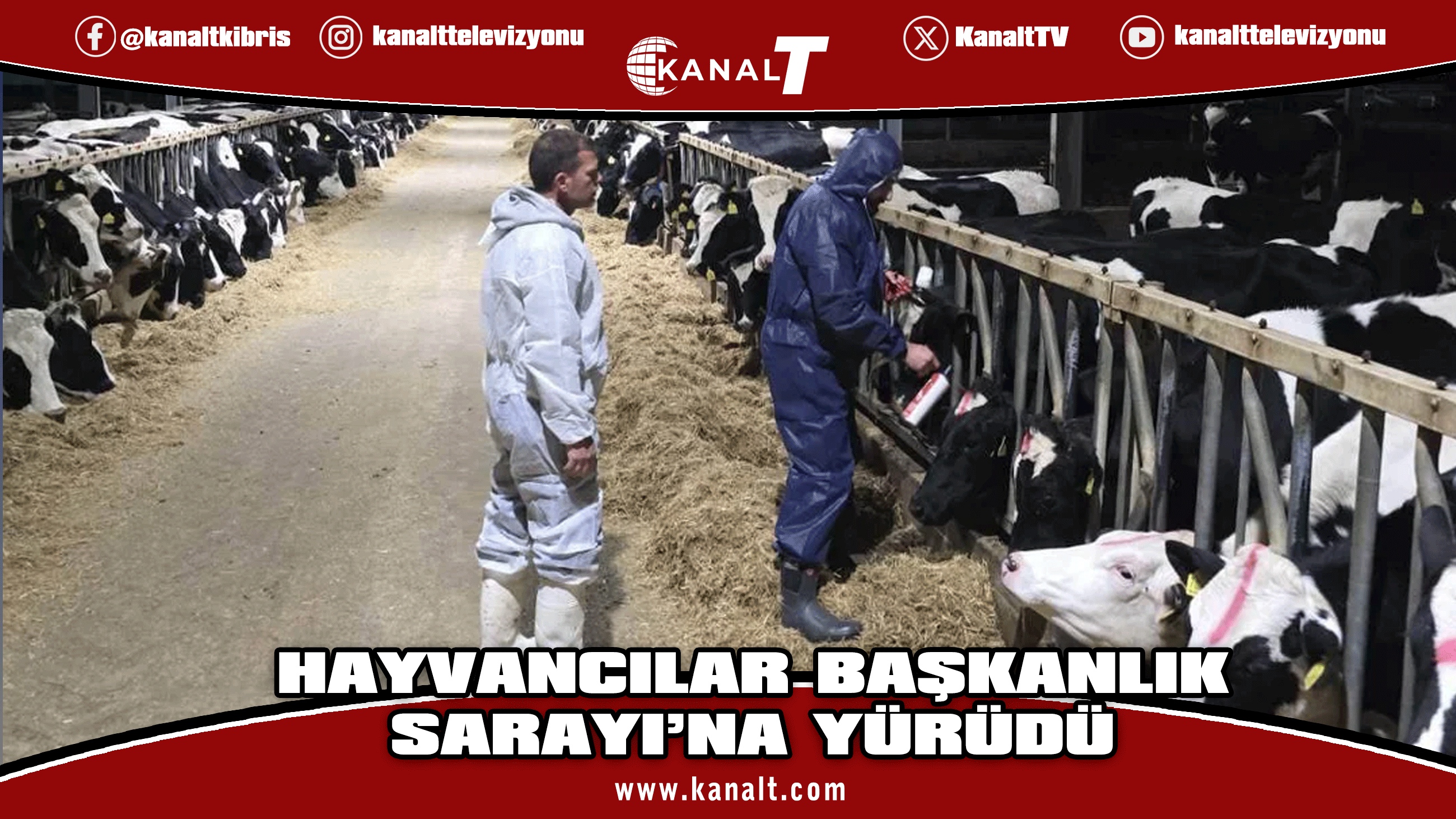 Rum hayvancıların dün Rum Başkanlık Sarayı’na yürüdü