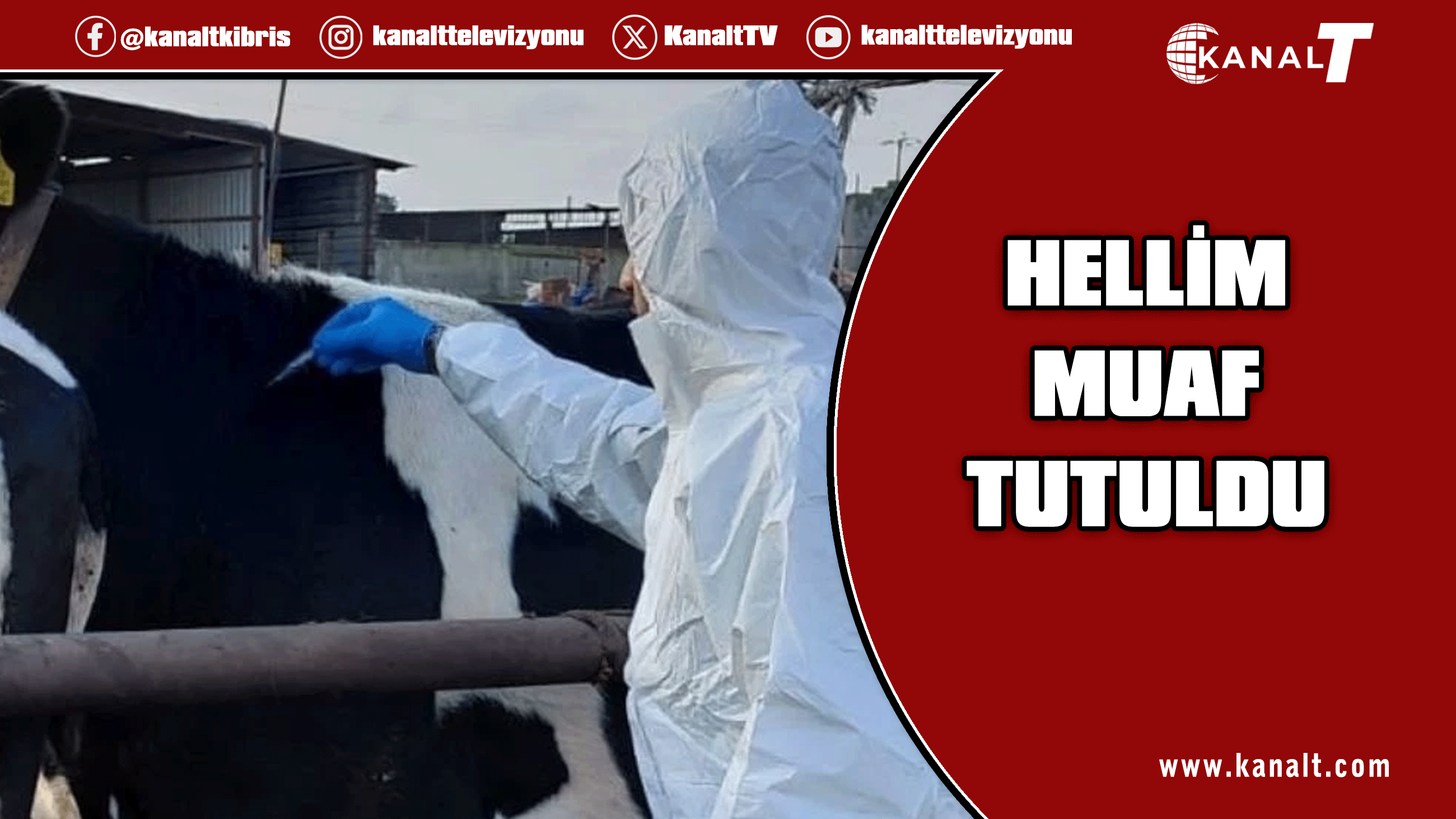 AB, şap hastalığı nedeniyle Güney Kıbrıs’ı 1 Mayıs’a kadar “yasaklı bölge” ilan etti