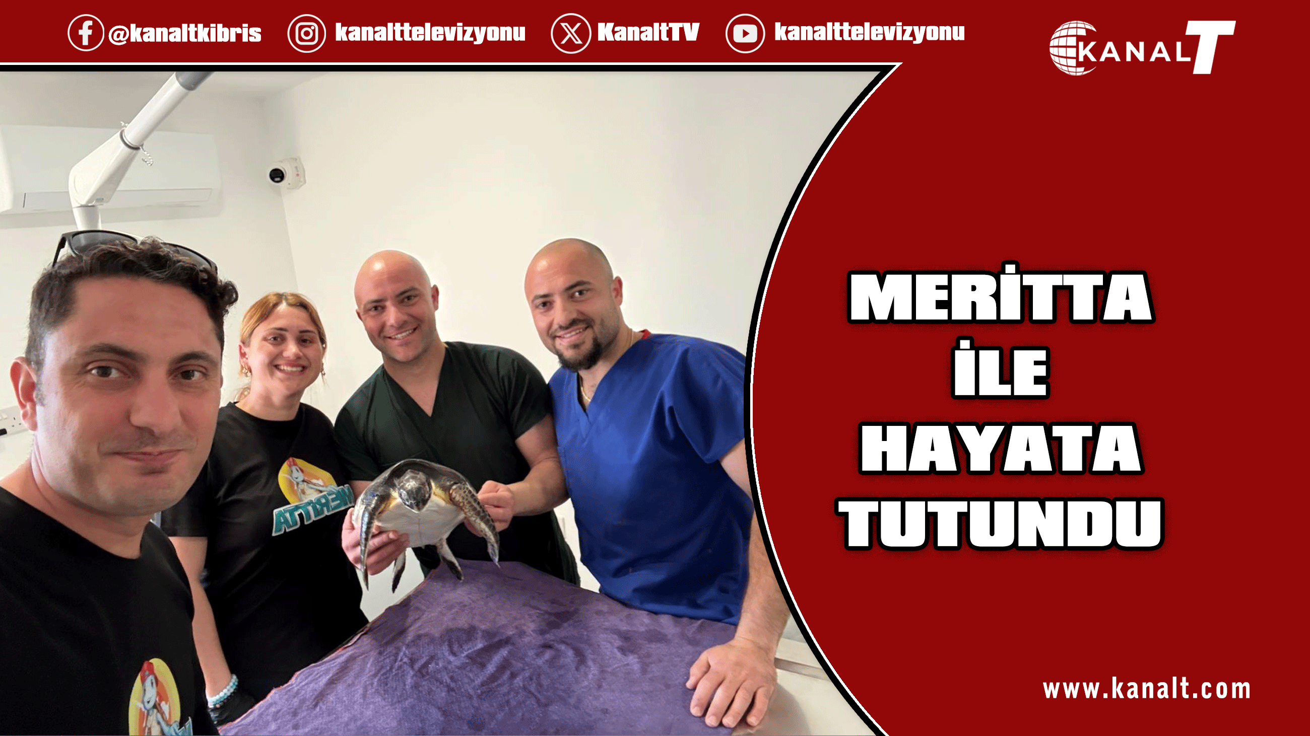 Yaralı deniz kaplumbağası Meritta ile hayata tutundu
