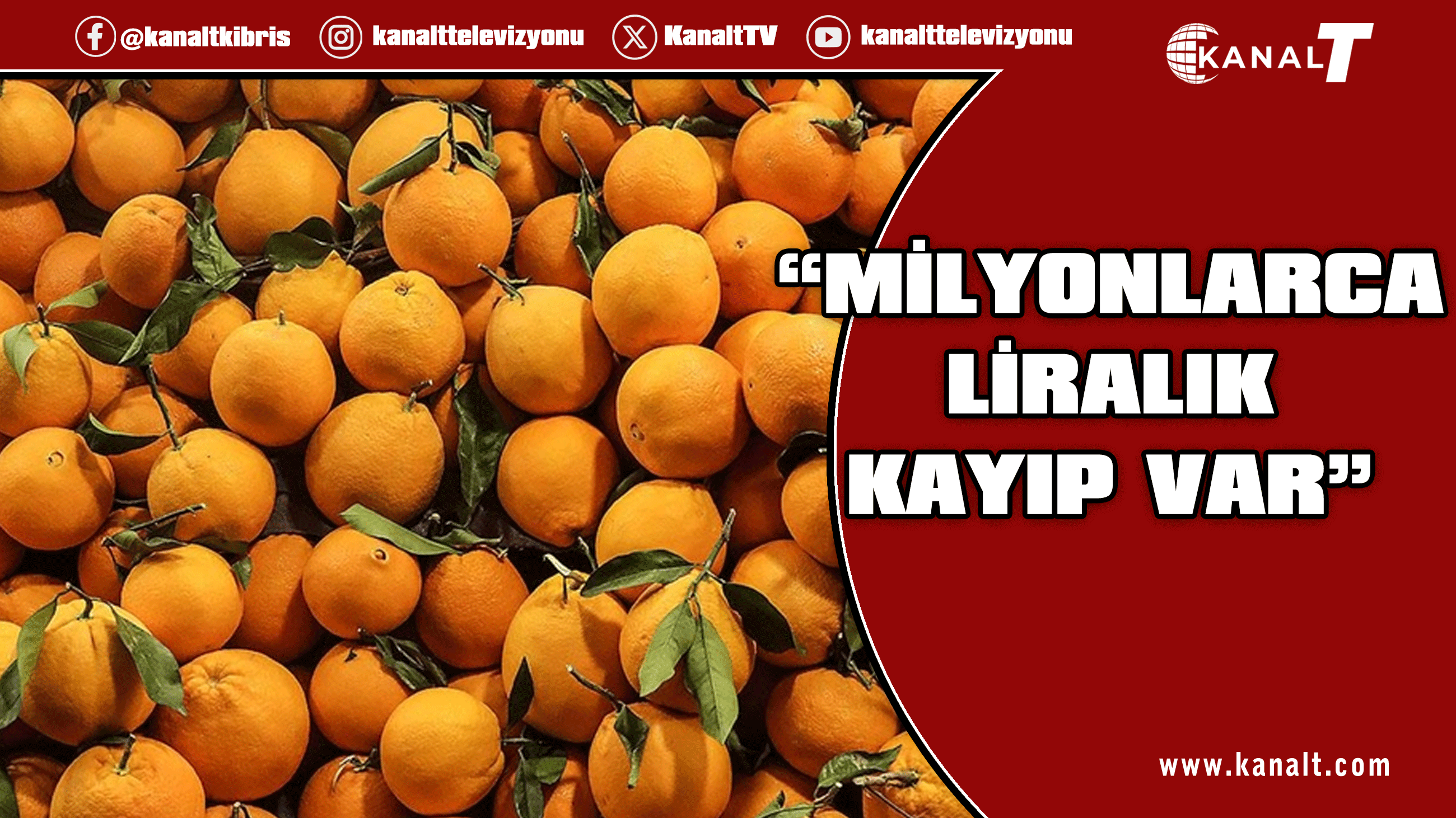 Narenciye İhracatçı Birlikleri: Limanlarda mesai yetersizliği ihracatı engelliyor