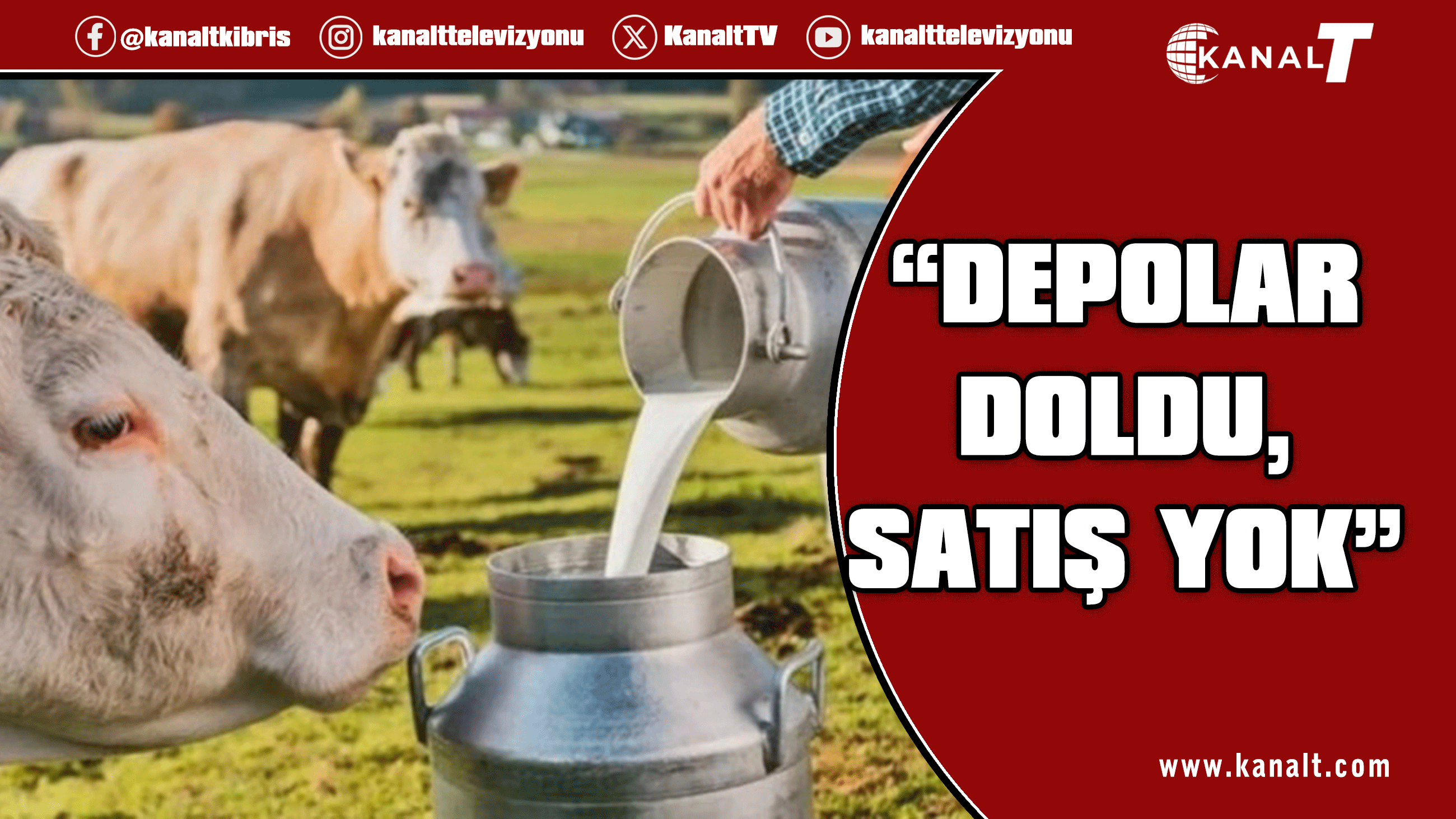 Süt sektöründe kriz alarmı: 54 bin kişi risk altında