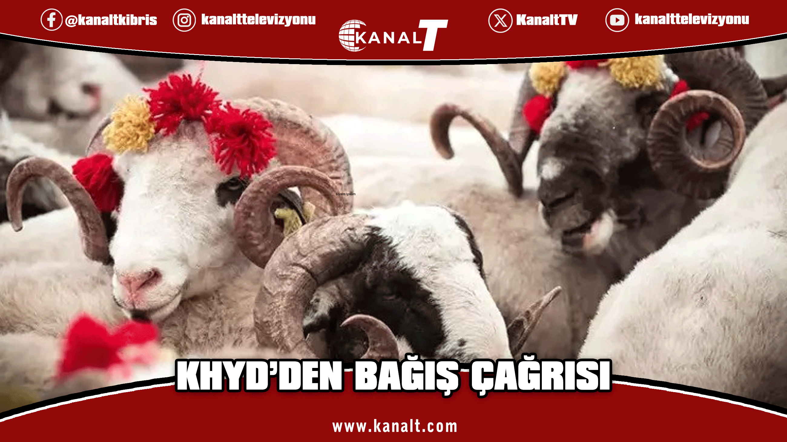 Kanser Hastalarına Yardım Derneği, kurban bağışları için çağrı yaptı