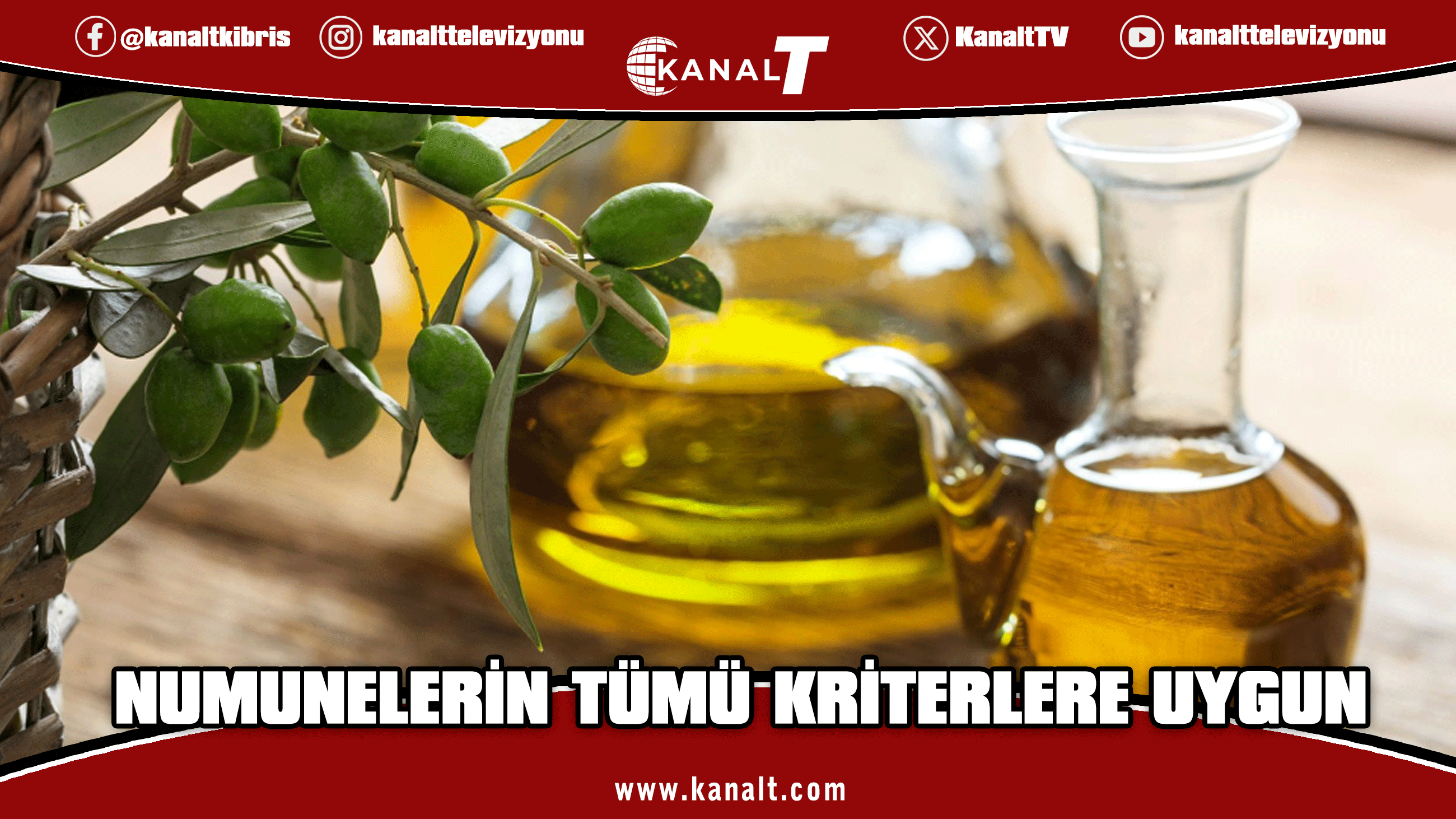 38 numunenin tümü kriterlere uygun bulundu