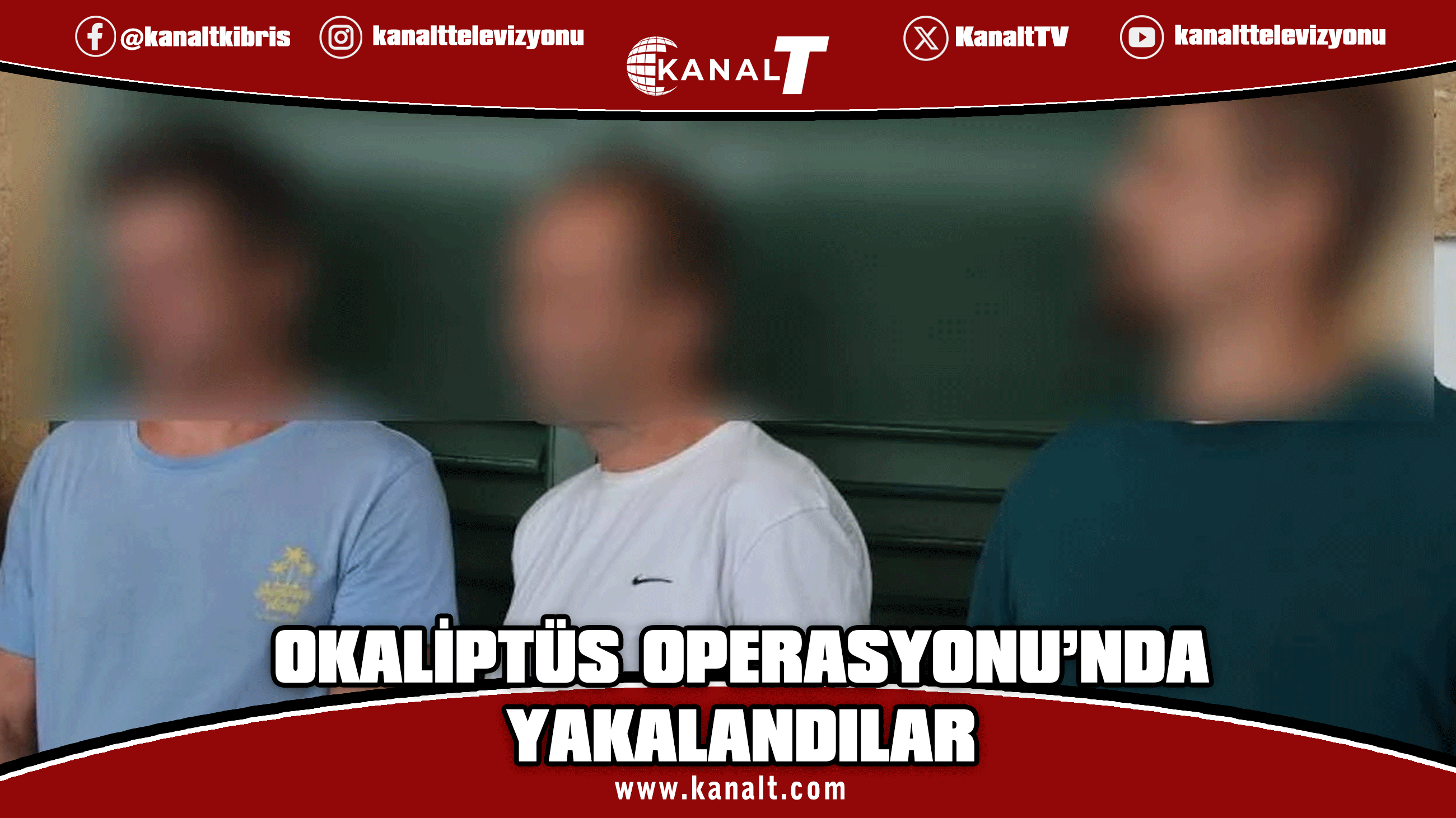 Okaliptüs Operasyonu: Güney'den Kuzey'e uyuşturucu taşımakla itham ediliyorlar!