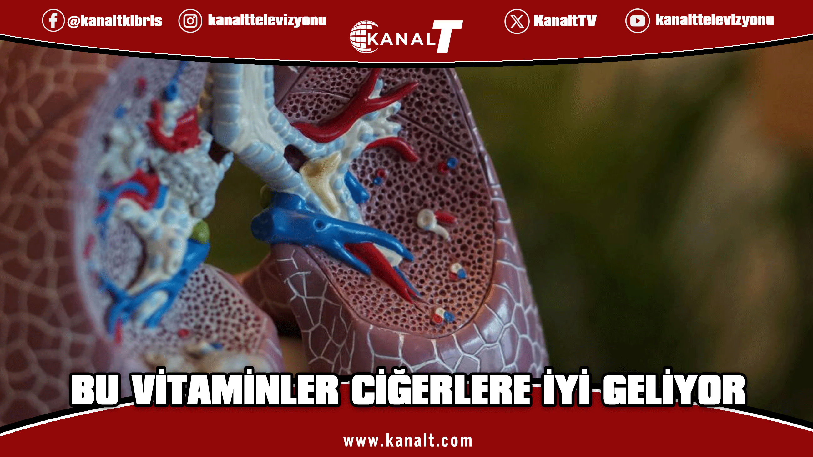 Uzmanlar ciğerlere iyi gelen vitaminleri açıkladı
